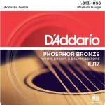 D'addario EJ17 – Sleviste.cz