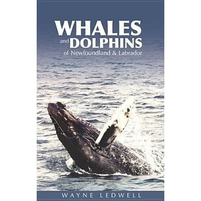 Whales a Dolphins of Newfoundland a Labrador – Hledejceny.cz