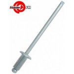 Trhací nýt nerezový FM-Rivex INOX 3 x 10 Friulsider 03000x30010 1000 ks – Sleviste.cz
