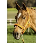 BUSSE Stájovka Solid Soft oranžová – Zboží Dáma