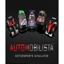 Hra na PC Automobilista