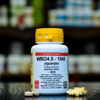 Sinecura WBO4.9 yiguanjian 60 tablet – Hledejceny.cz