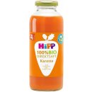 HiPP 100% BIO s karotkou 330 ml