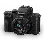 Panasonic Lumix DC-G100 – Hledejceny.cz