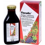 Salus Floradix železo+ 250 ml – Hledejceny.cz