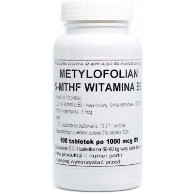 Podkowa Vitamín B9 100 tablet – Hledejceny.cz