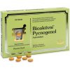 Doplněk stravy Pharma Nord Bioaktivní Pycnogenol 90 tablet