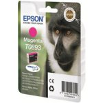 Epson C13T0893 - originální – Hledejceny.cz