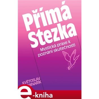 Přímá stezka. Mystická praxe k poznání skutečnosti - Květoslav Minařík