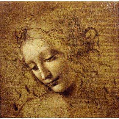 Grafika Leonardo da Vinci: Tvář Giovane Fanciully 1508 1000 dílků – Zboží Mobilmania