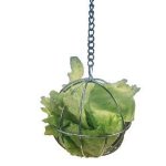 Trixie Chromovaný závěsný míč na potravu pro hlodavce 8 cm – Zboží Dáma