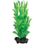 Tetra Hygrophila S 15 cm – Zboží Dáma