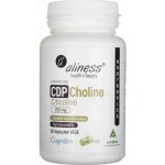 Aliness CDP Cholin Cyticoline 250 mg 60 kapslí – Hledejceny.cz