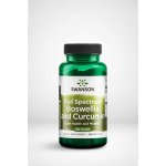Swanson Full Spectrum Boswellia s Curcuminem 60 kapslí – Hledejceny.cz