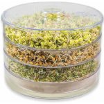 Multiflora biomiska na klíčení semen 20 x 16 cm čirá – Sleviste.cz