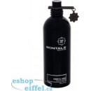 Montale Paris Greyland parfémovaná voda unisex 100 ml