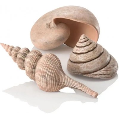 BiOrb Sea Shells Decor Set natural 13, 6,5, 9,5 cm – Zboží Dáma