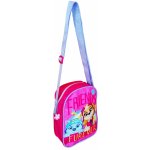 Exity Kft Paw Patrol Skye a Everest růžová – Zboží Dáma