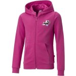 Puma Essentials+street Art Fell-zip Hoodie růžová – Zboží Mobilmania