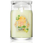 Yankee Candle Signature LEMON GELATO 567 g – Hledejceny.cz