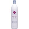 Přípravek proti šedivění vlasů Berrywell Kristal Klar Silver Shampoo 1001 ml