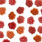 Aniland Ovocné Mini Tlapičky pro mazlíčky i páníčky 20 g – Zboží Dáma