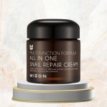 MIZON ALL IN ONE SNAIL REPAIR CREAM 75 ml – Hledejceny.cz