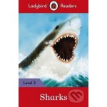 Sharks – Hledejceny.cz