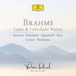 Brahms Johannes - Lieder, Liebeslieder & Wa CD – Hledejceny.cz