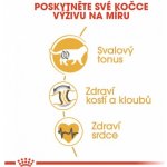 Gottlieb norkový se sírou 300 ml – Zbozi.Blesk.cz