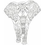 Pískohraní s.r.o. Šablona Slon 210 x 297 mm – Zboží Dáma