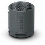 Sony SRS-XB100 – Zbozi.Blesk.cz