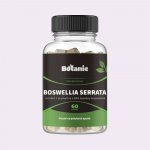 Botanic Boswellie kapsle 65% 60 kapslí – Hledejceny.cz