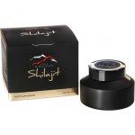 Saryu Shilajit Pure Himalayan 100 g – Hledejceny.cz