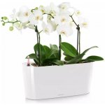 Lechuza Samozavlažovací květináč delta 10 bílá 11 x 30 x 13 cm – Hledejceny.cz