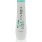 Matrix Biolage ScalpSync Anti Dandruff Shampoo 250 ml – Zbozi.Blesk.cz