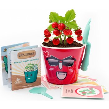 Cuculo Vypěstuj si jahůdky - dětská sada pro pěstování jahod se samozavlažovacím květináčem a výukou angličtiny, červená
