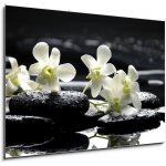 Obraz 1D - 100 x 70 cm - Zen stones and white orchids with reflection Zenové kameny a bílé orchideje s odrazem – Hledejceny.cz