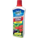 Agro Floria pokojové rostliny s účinky na parazity 500 ml – Zboží Dáma