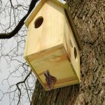 Esschert Design Budka pro veverku Squirrel House se zinkovou stříškou 25 x 26 x 29 cm přírodní – Zboží Dáma