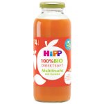 HiPP 100 % BIO JUICE Ovoce s karotkou 330 ml – Zboží Dáma