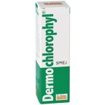 Dr. Müller Dermochlorophyl sprej 30 g – Hledejceny.cz