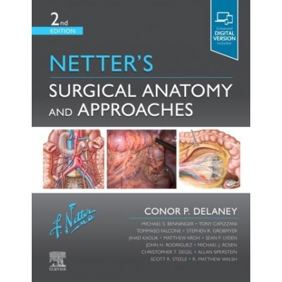 Netters Surgical Anatomy and Approaches
