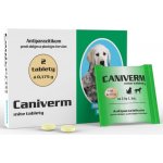 Caniverm mite tbl 2 x 0,175 g – Hledejceny.cz