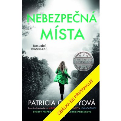 Nebezpečná místa - Patricia Gibneyová – Hledejceny.cz