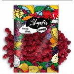 Lyofio Mrazem sušená malina celá 100 g – Zboží Dáma