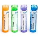 CALCAREA FLUORICA POR 9CH GRA 1X4G – Hledejceny.cz
