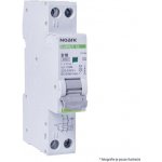 Noark Electric Ex9NLE EL 1P+N B16 30mA A 111162 – Sleviste.cz