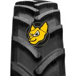 Ascenso R1-W TDR800 480/80-50 159D TL – Hledejceny.cz
