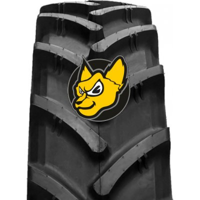 Ascenso R1-W TDR800 480/80-50 159D TL – Hledejceny.cz